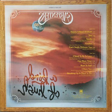 كاربنترز - نوع من الهدوء - ألبوم (فينيل مستعمل)