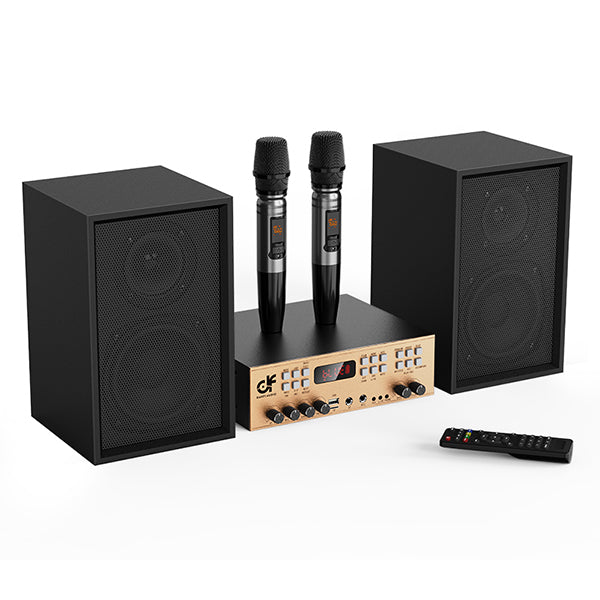 Victress Hifi Amplifier Speaker System 120W (AH-002)