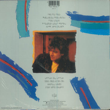 Robert Plant - Shaken 'n' Stirred - LP - (Used Vinyl)