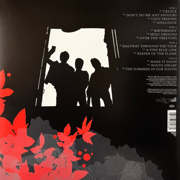 A-Ha - Analogue 20Th Anniversary Deluxe Limitede Edition (RSD 2026) - 2LP