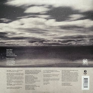 Jack Johnson - Meet The Moonlight (Limited Edition Silver Vinyl) - LP