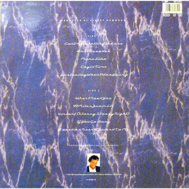 Julio Iglesias - Starry Night - LP(Used Vinyl). Shop now online in uae