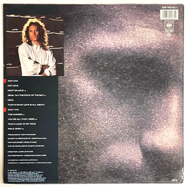 Michael Bolton - The Hunger (cover is damaged by water) - LP (Used Vinyl)
