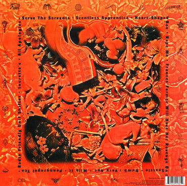 نيرفانا - في الرحم - ألبوم