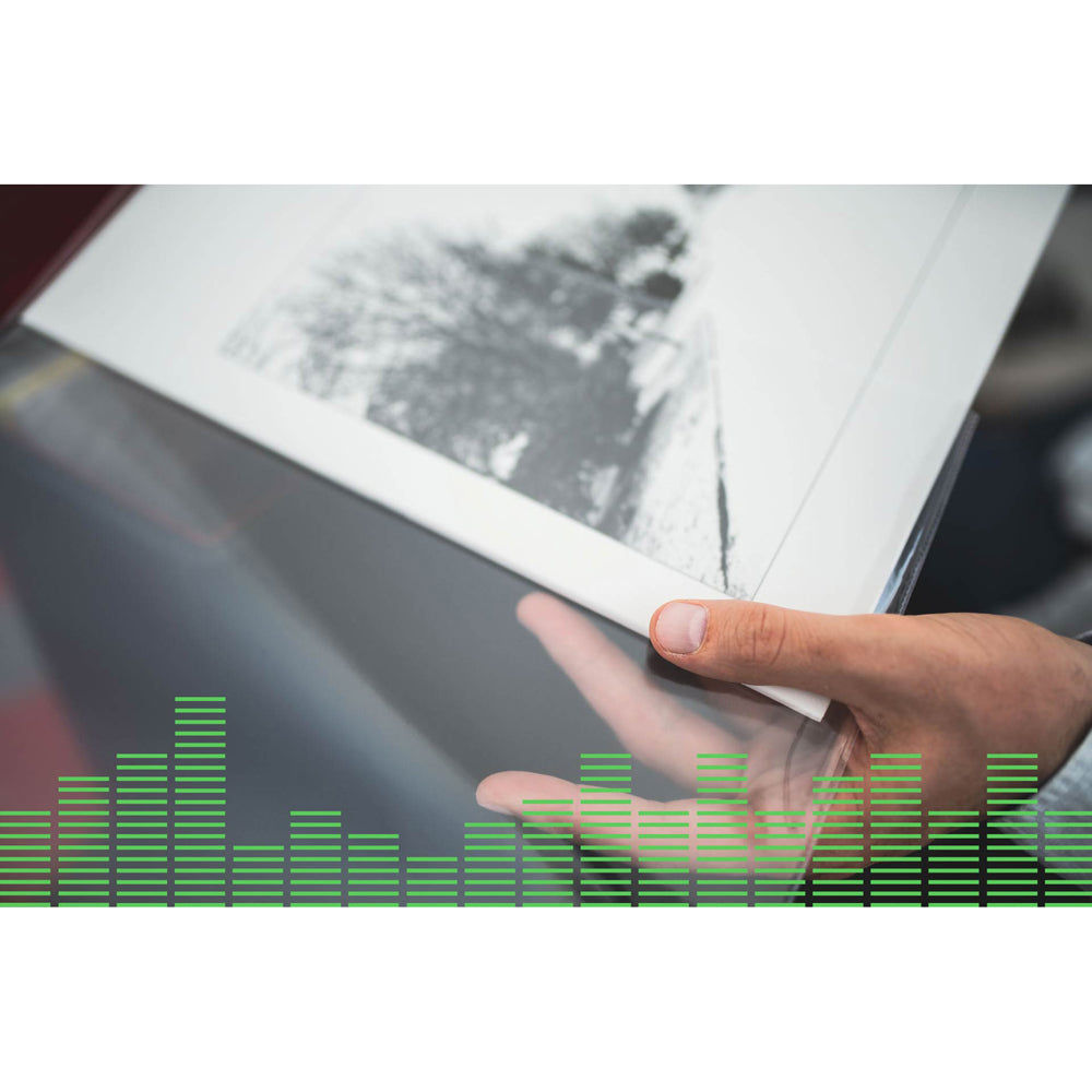 تشريح الصوت - 50 × 12 بوصة أكمام خارجية شفافة من البولي بروبيلين (80 ميكرون)