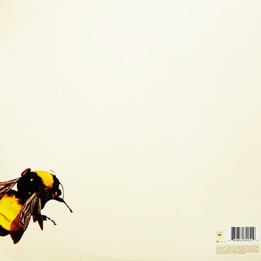 تايلر ذا كريتور - سكام فاك فلاور بوي - ألبوم مزدوج