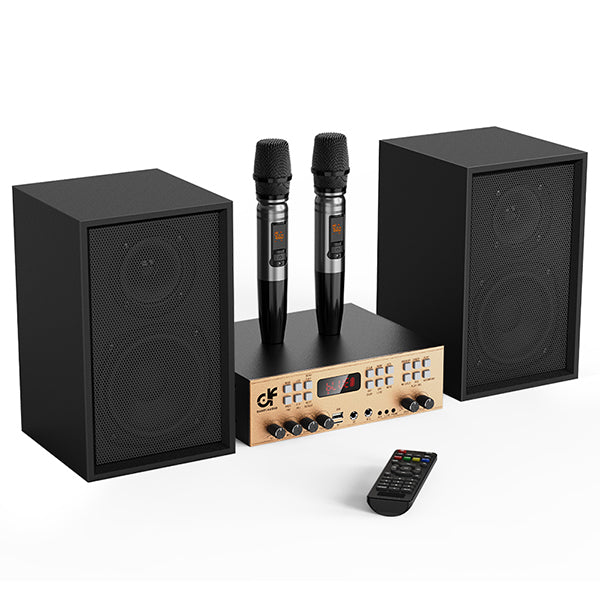 Victress Hifi Amplifier Speaker System 120W (AH-002)