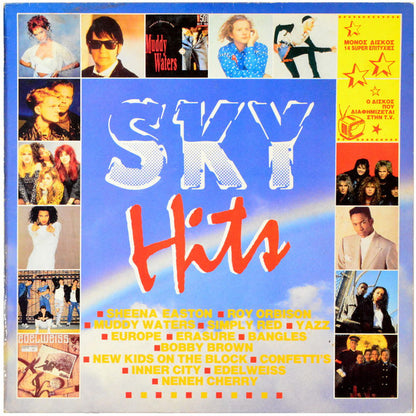 Various Artist - Sky Hits - LP (Used Vinyl)