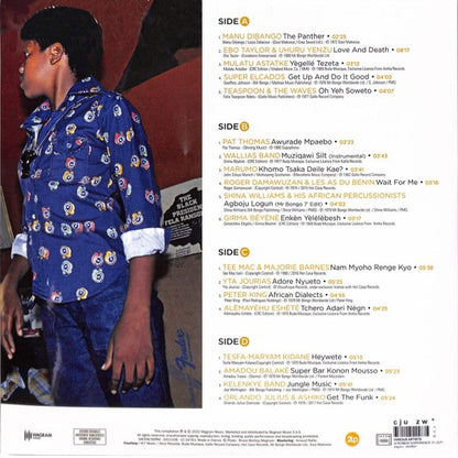 مجموعة متنوعة - تجربة أفرو بيت - ألبوم مزدوج