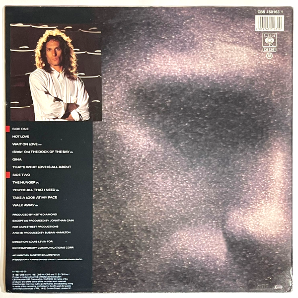 Michael Bolton - The Hunger (cover is damaged by water) - LP  (Used Vinyl)