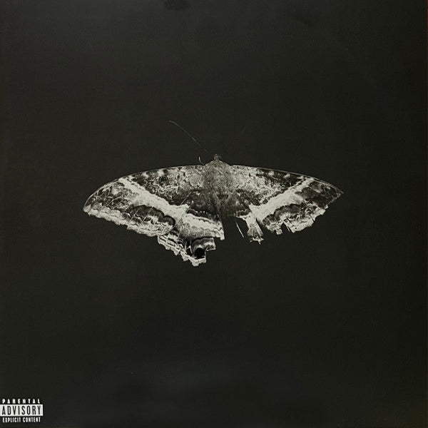 Kendrick Lamar - To Pimp A Butterfly (10Th Anniv Limited Edition) - 2LP