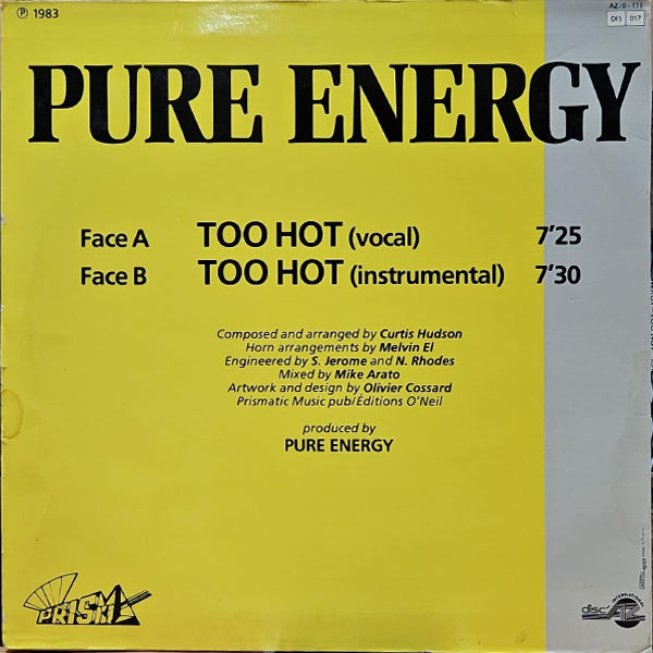Pure Energy - Too Hot - 12" (Used Vinyl)