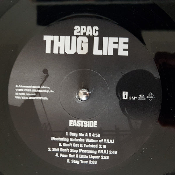2Pac - Thug Life - Vol.1 - LP | Music Store Dubai | Vinyl Records