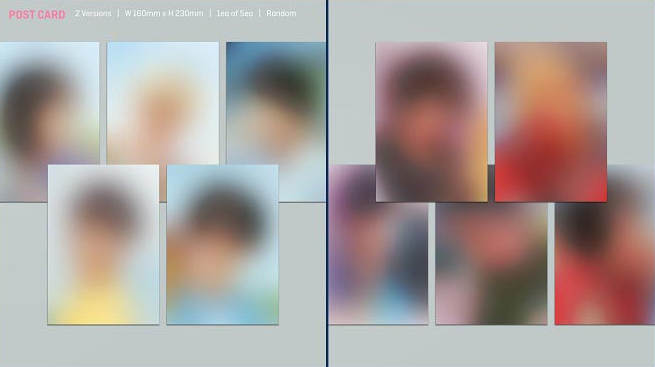 TXT - فصل الفوضى: القتال أو الهروب