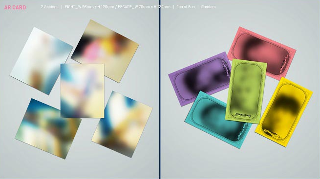 TXT - فصل الفوضى: القتال أو الهروب