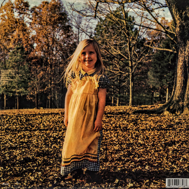 Allman Brothers Band - Brothers & Sisters - LP